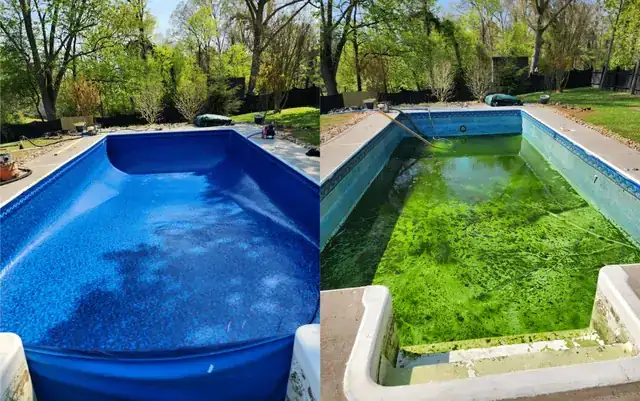 Before and after vinyl pool liner replacement in Maryville TN — algae-filled pool restored with new blue liner